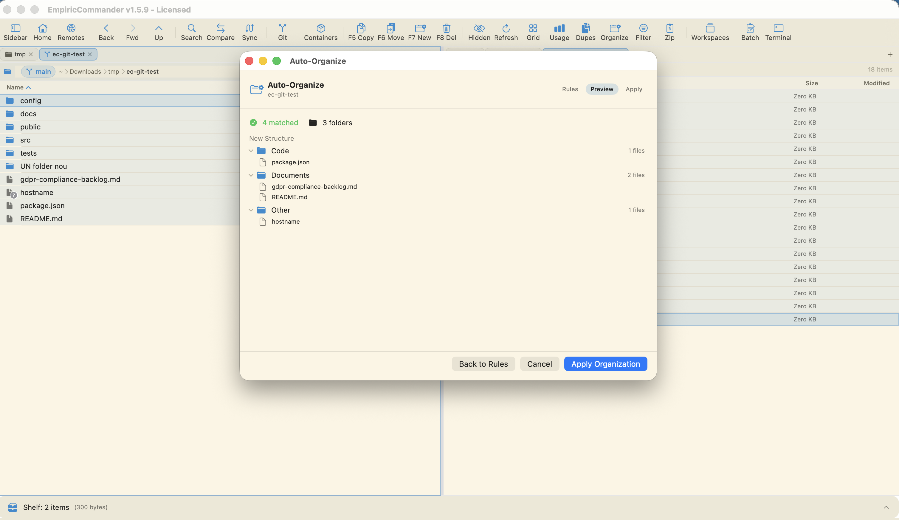 EmpiricCommander Auto-Organize preview, sorting a folder into Code, Documents, and Other before applying