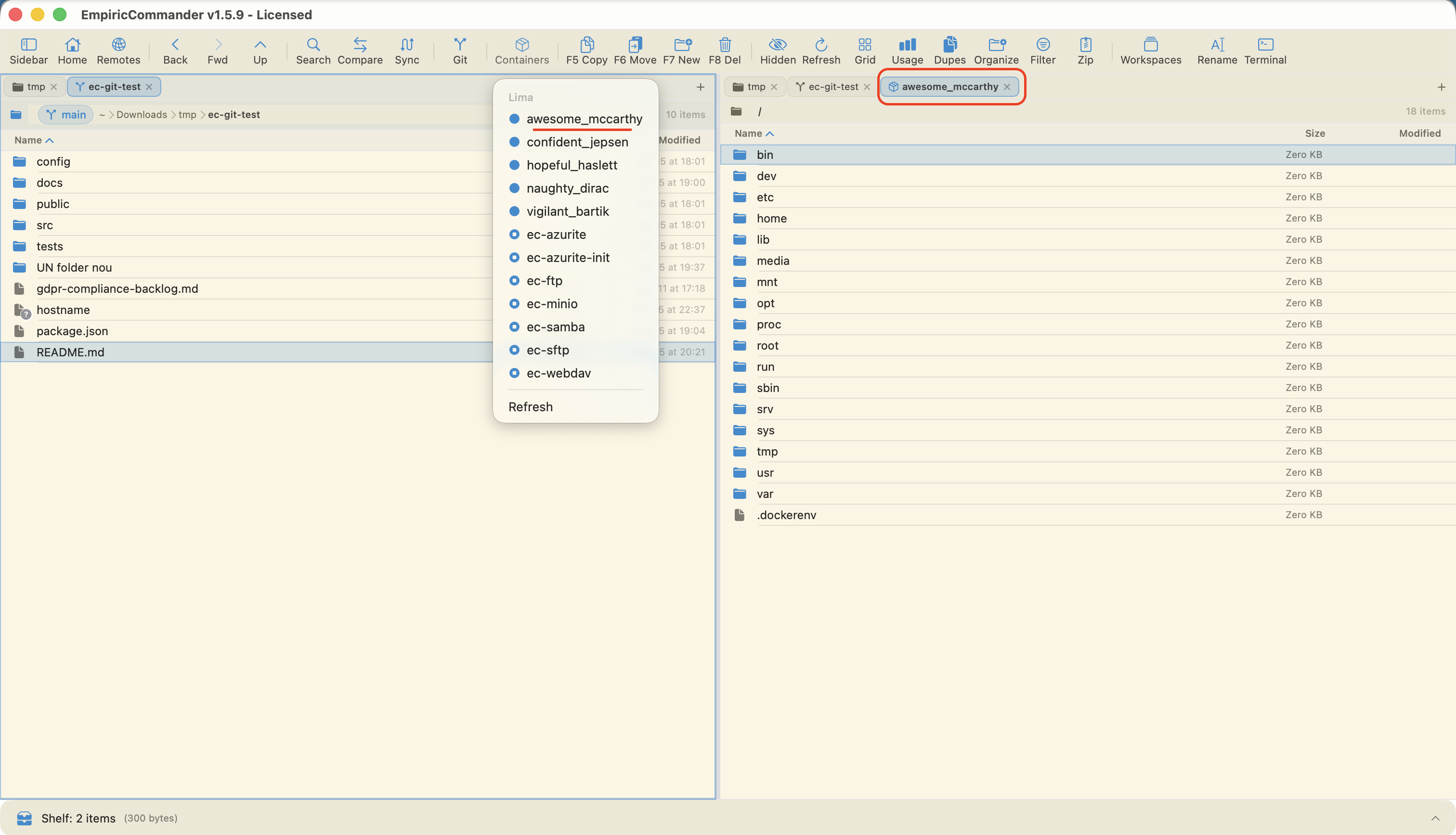 EmpiricCommander browsing a running container's root filesystem in a tab, with the Containers menu listing auto-discovered Docker, Lima, and Colima containers