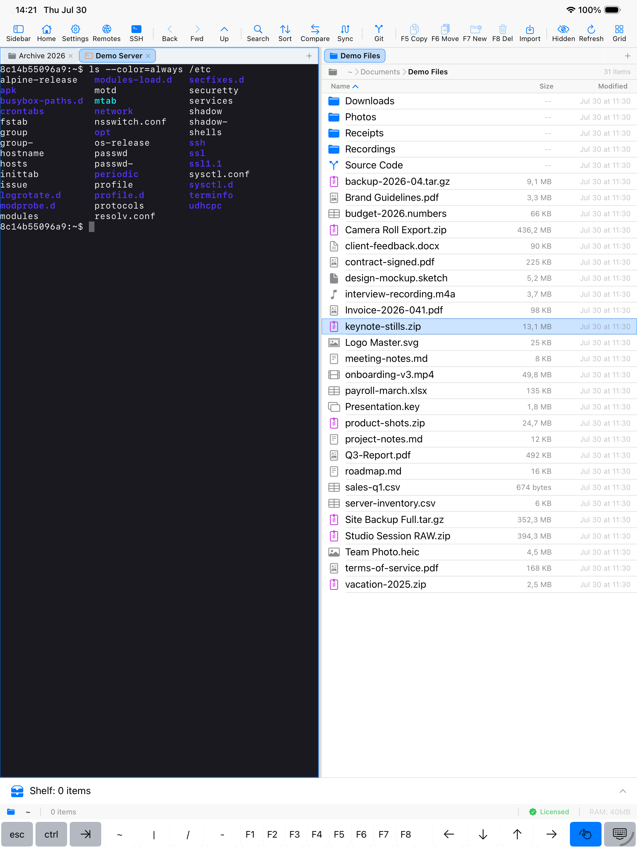 EmpiricCommander on iPad: an SSH session in the left pane running ls against a remote server with coloured output, the remote folder listing in the right pane, and the esc/ctrl/tab and F-key row along the bottom