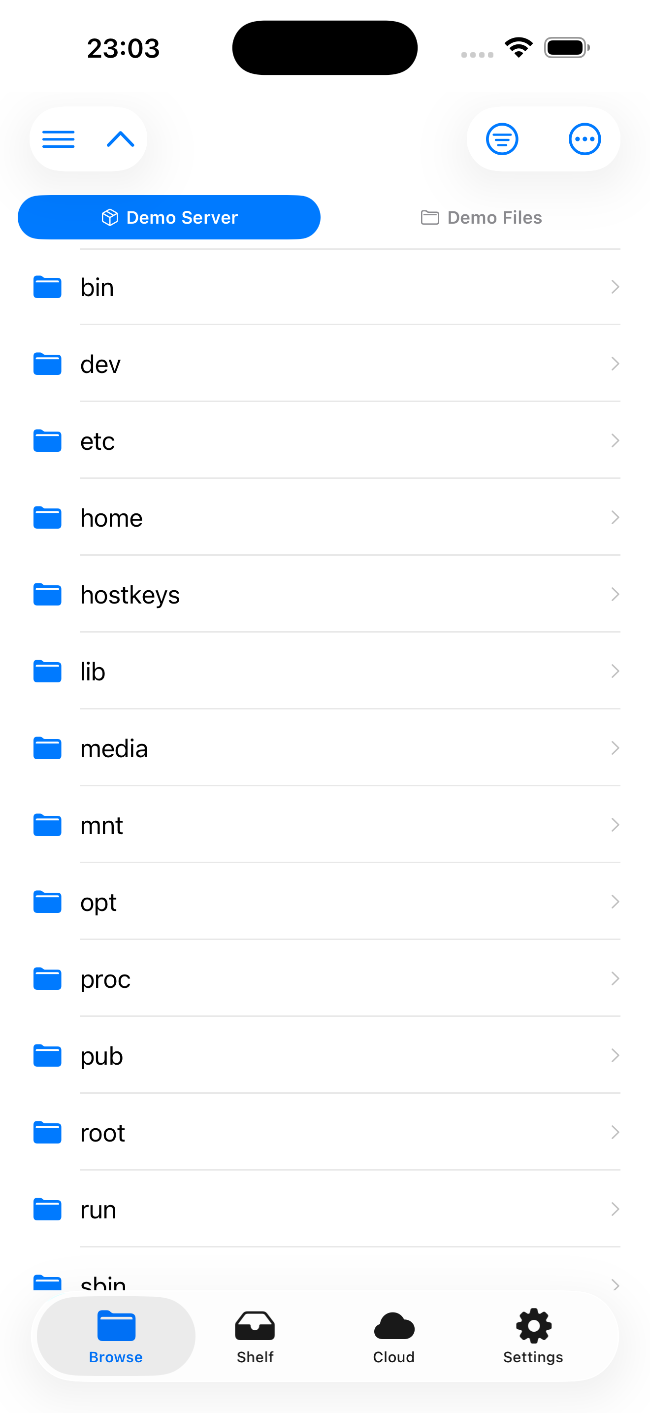 EmpiricCommander on iPhone: browsing the root of a remote server, showing bin, dev, etc, home and other directories