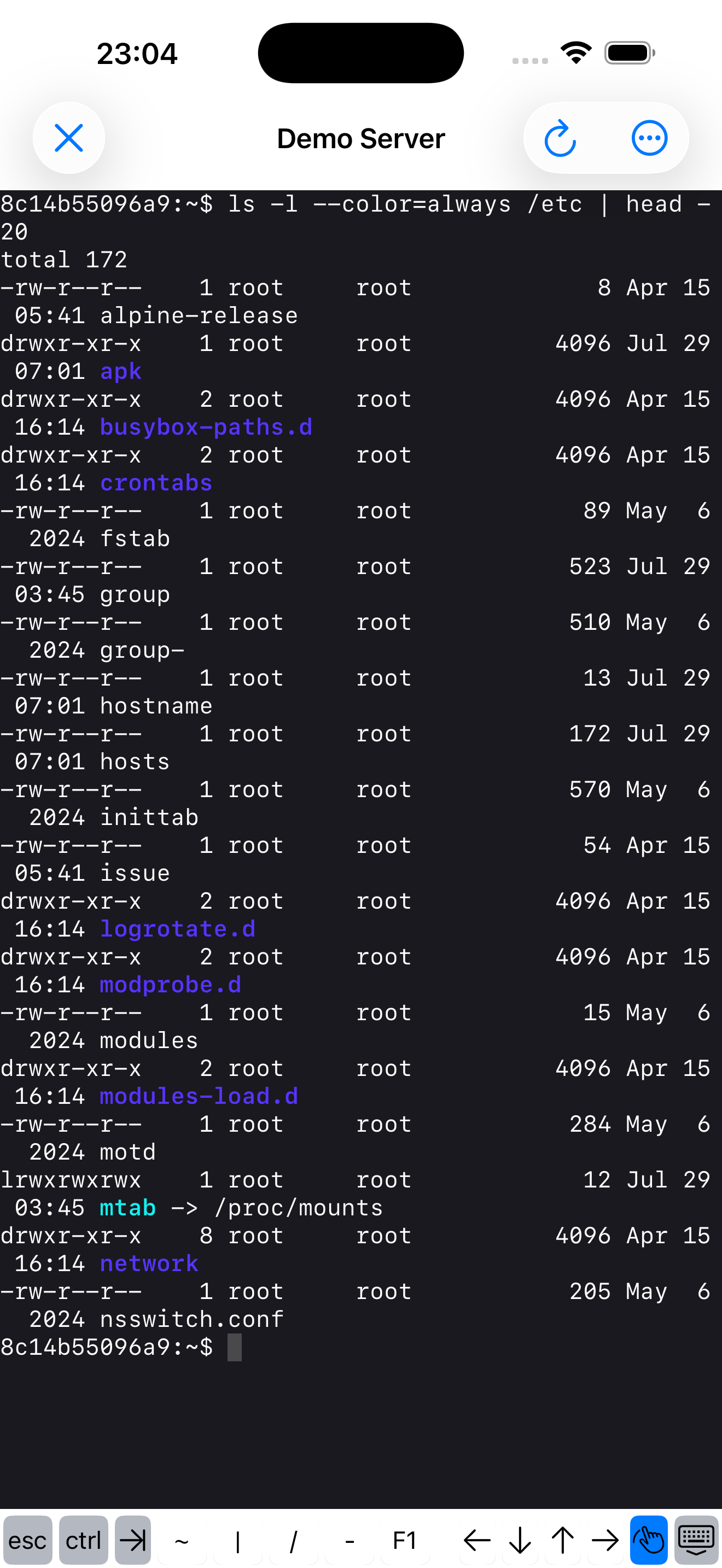 EmpiricCommander on iPhone: the same SSH terminal running ls -l against the remote server, with coloured output and a key accessory row